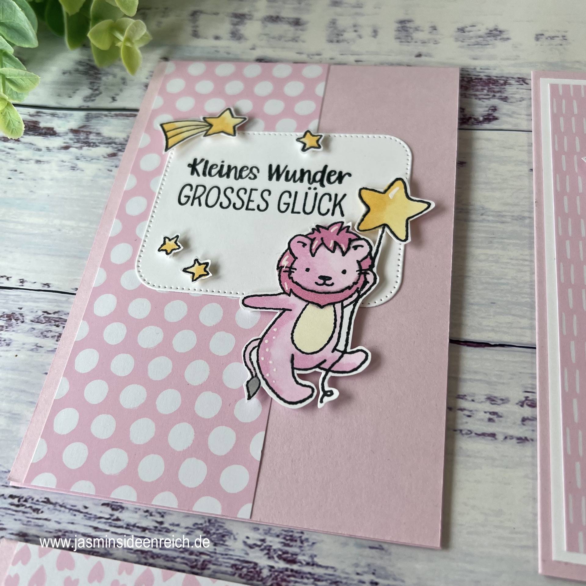 13.06.23 - Karten Babyrosa 2.jpeg